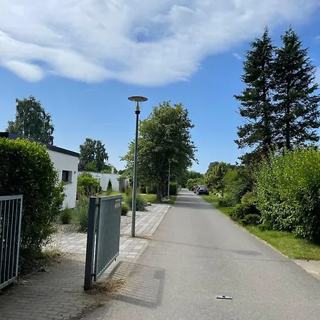 Strandgut *